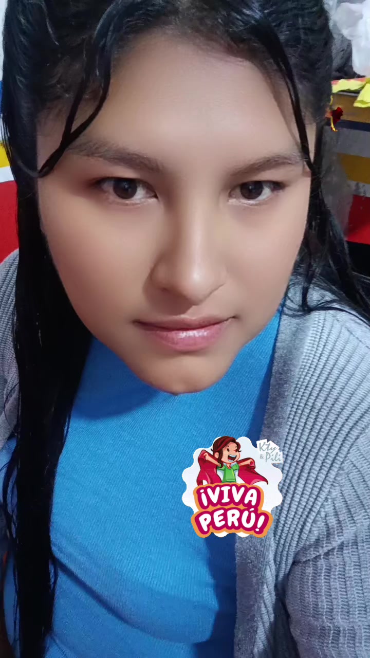 @noemiarapaquispe
