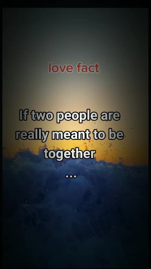 @Shani Quotes