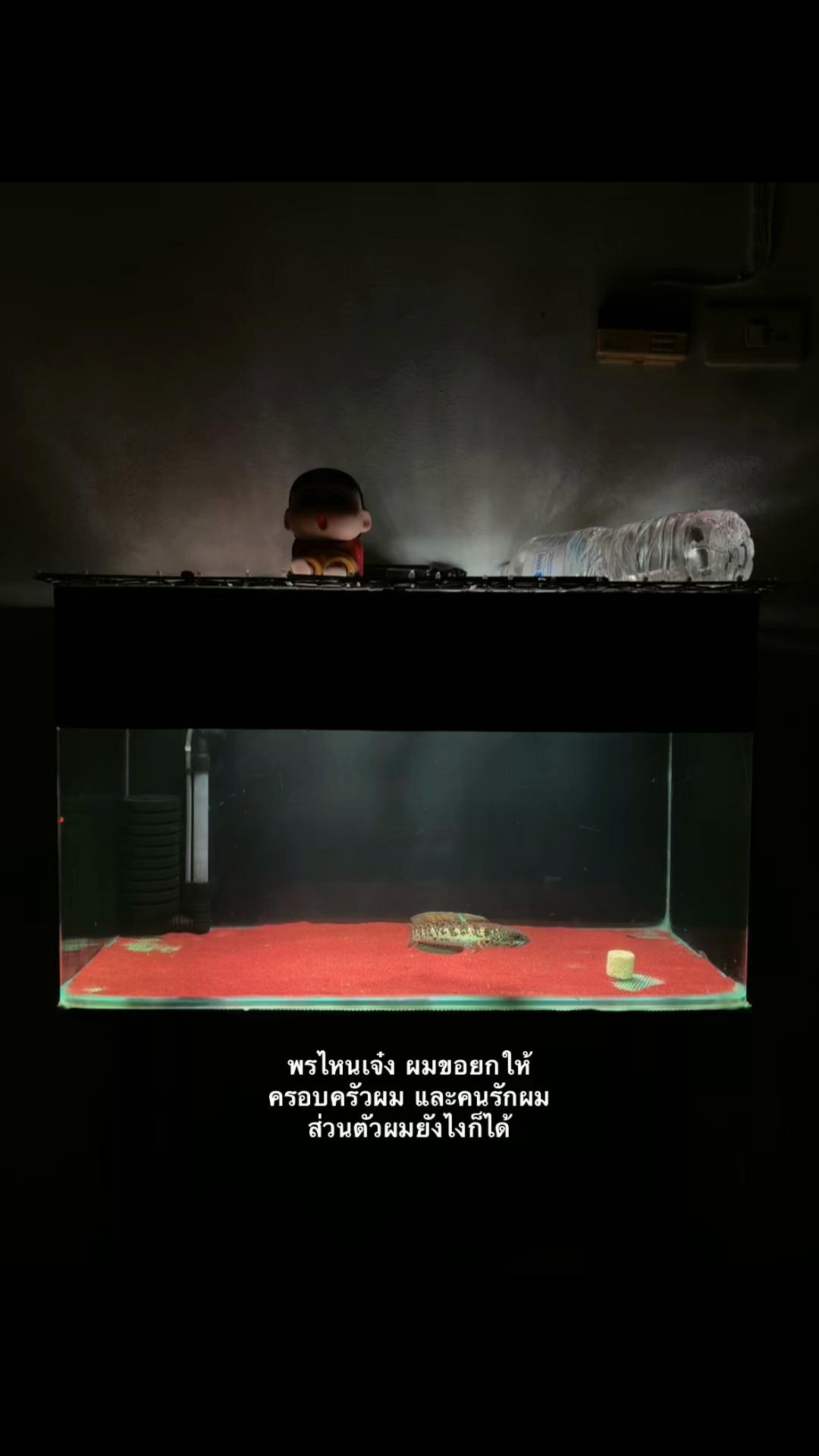 @เธรดสตอรี่(153.5K)