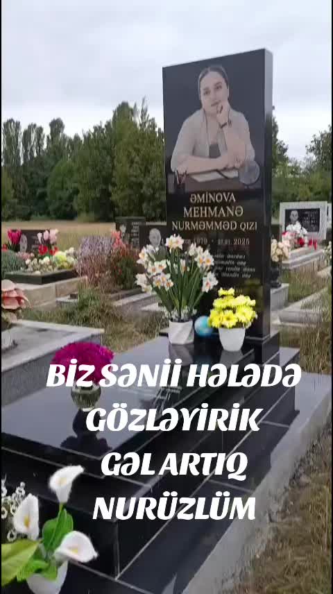 @SELIM