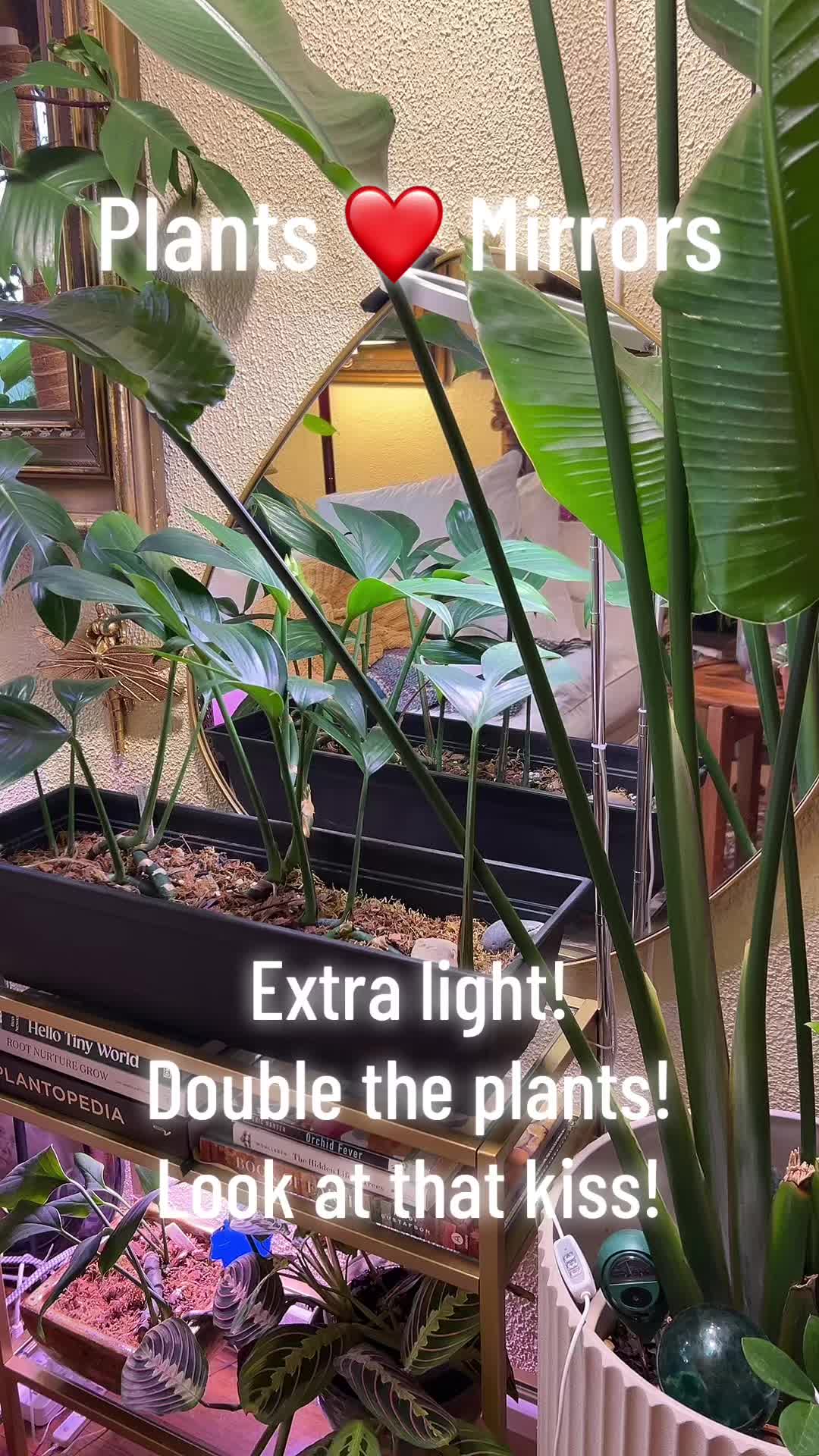 @The_Chlorophylliac