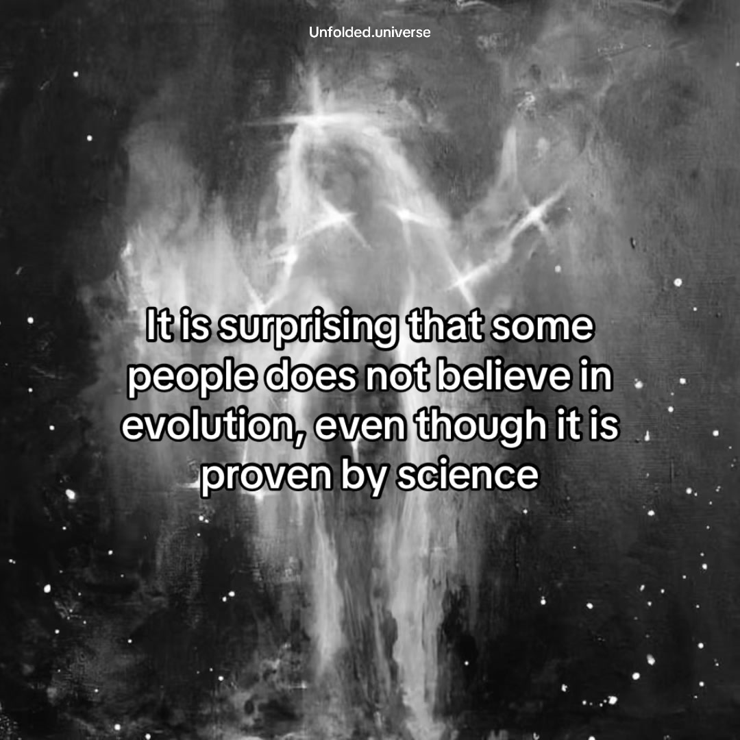 @The universe unfolded