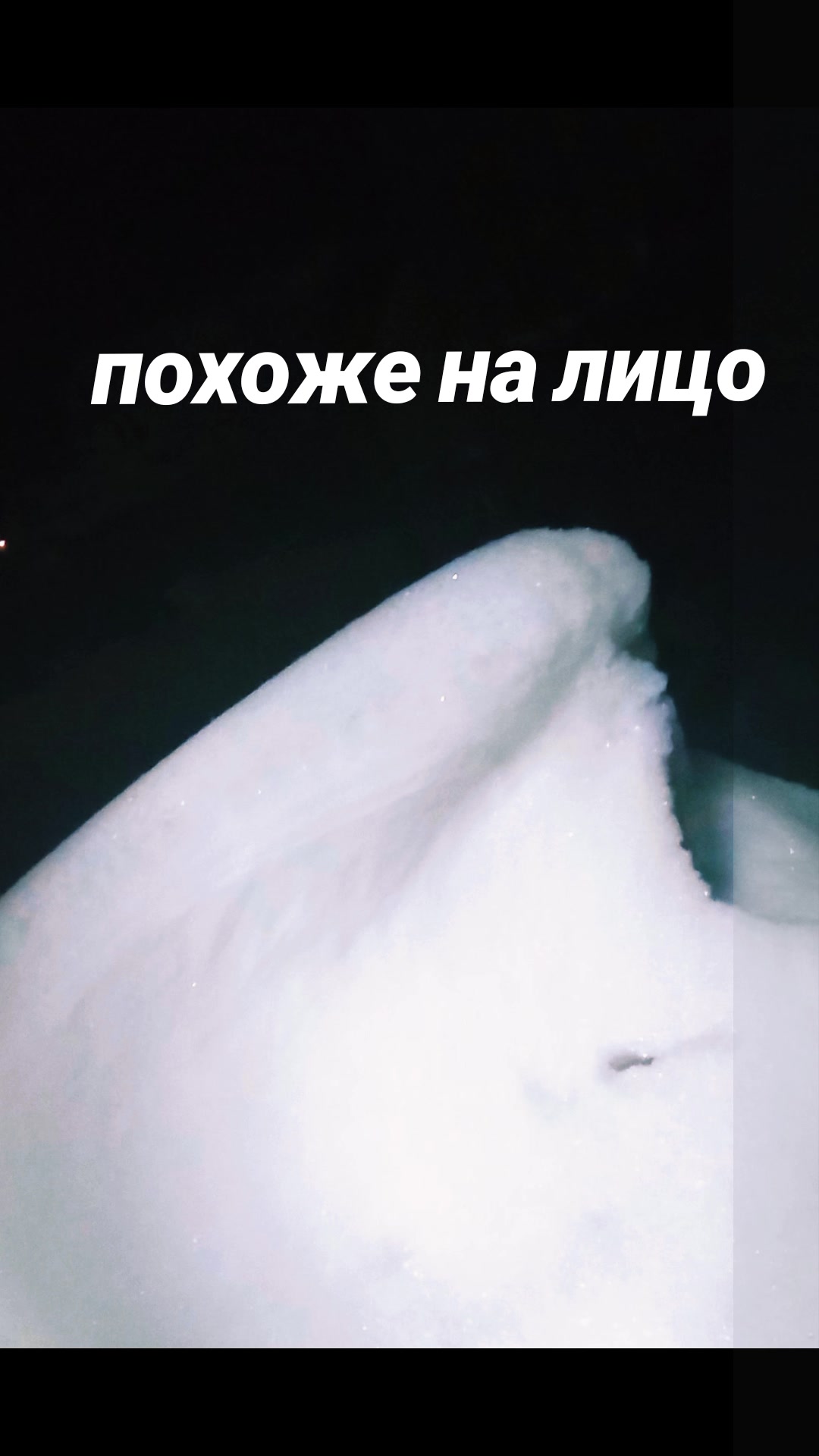 @Мои звери