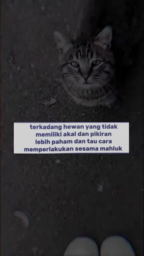 @𝐙&alpha;𝒾ℕ🐾