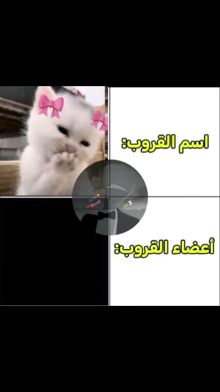 @الــــمــــضــــحــــك🌹