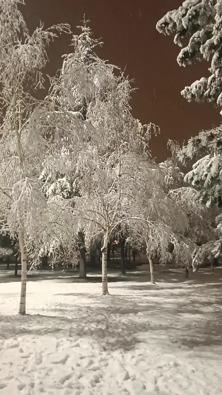 @Mehmet Şamlı