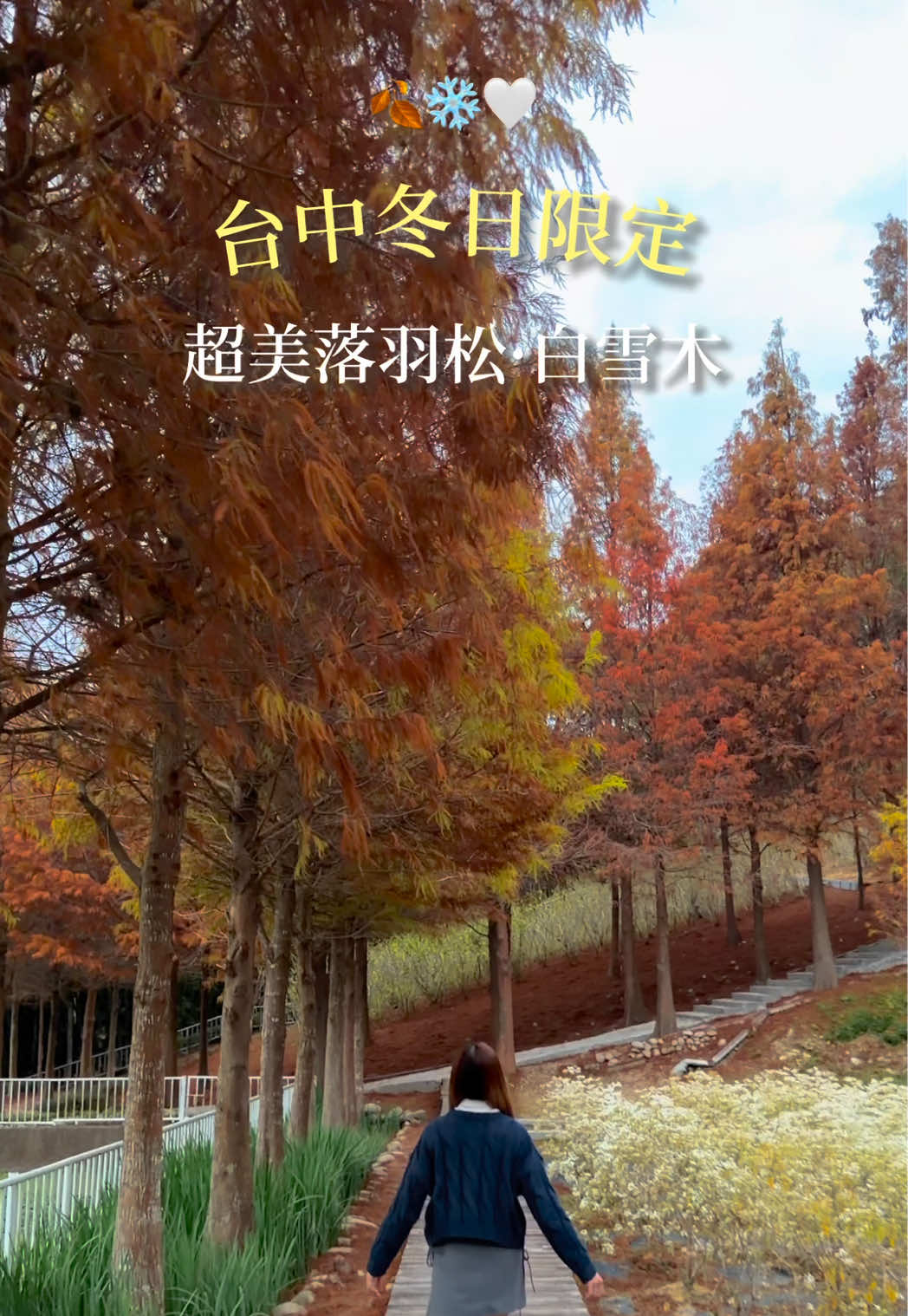 @馬鈴吉🥔