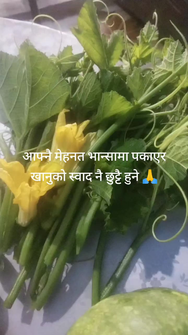 @Rupakattel