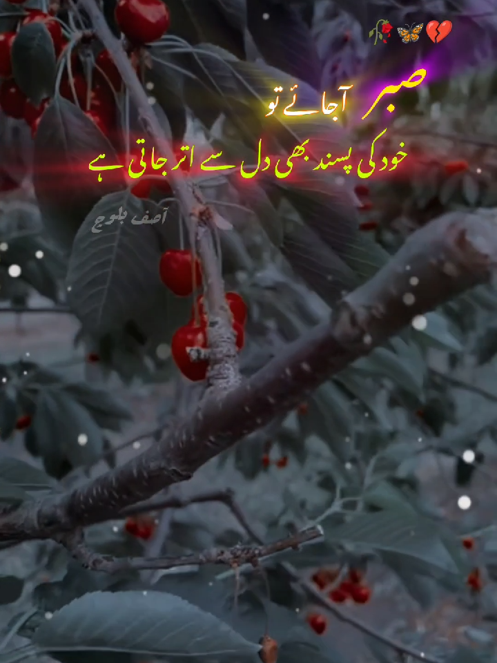 @꧁ͮάşίғ✦ͮвάĻόςħ﹏ͮ✍ͮ