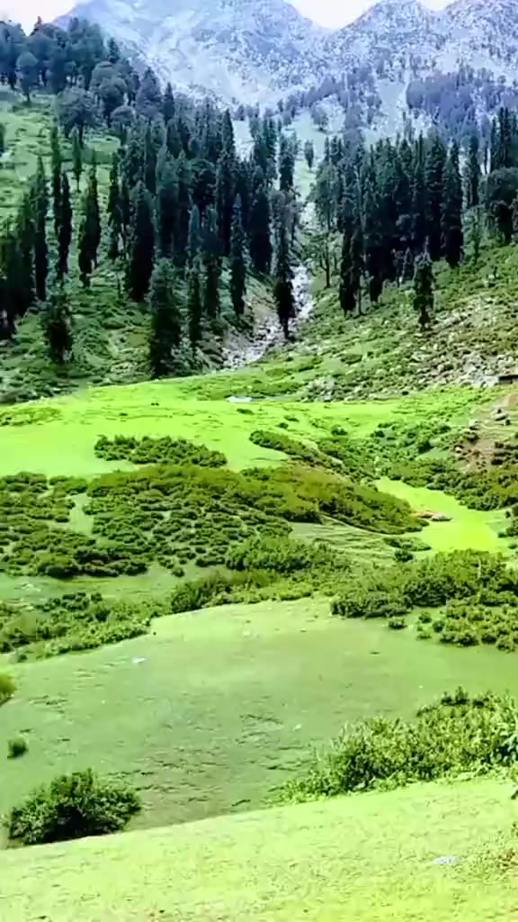 @Meri Pasand kpk