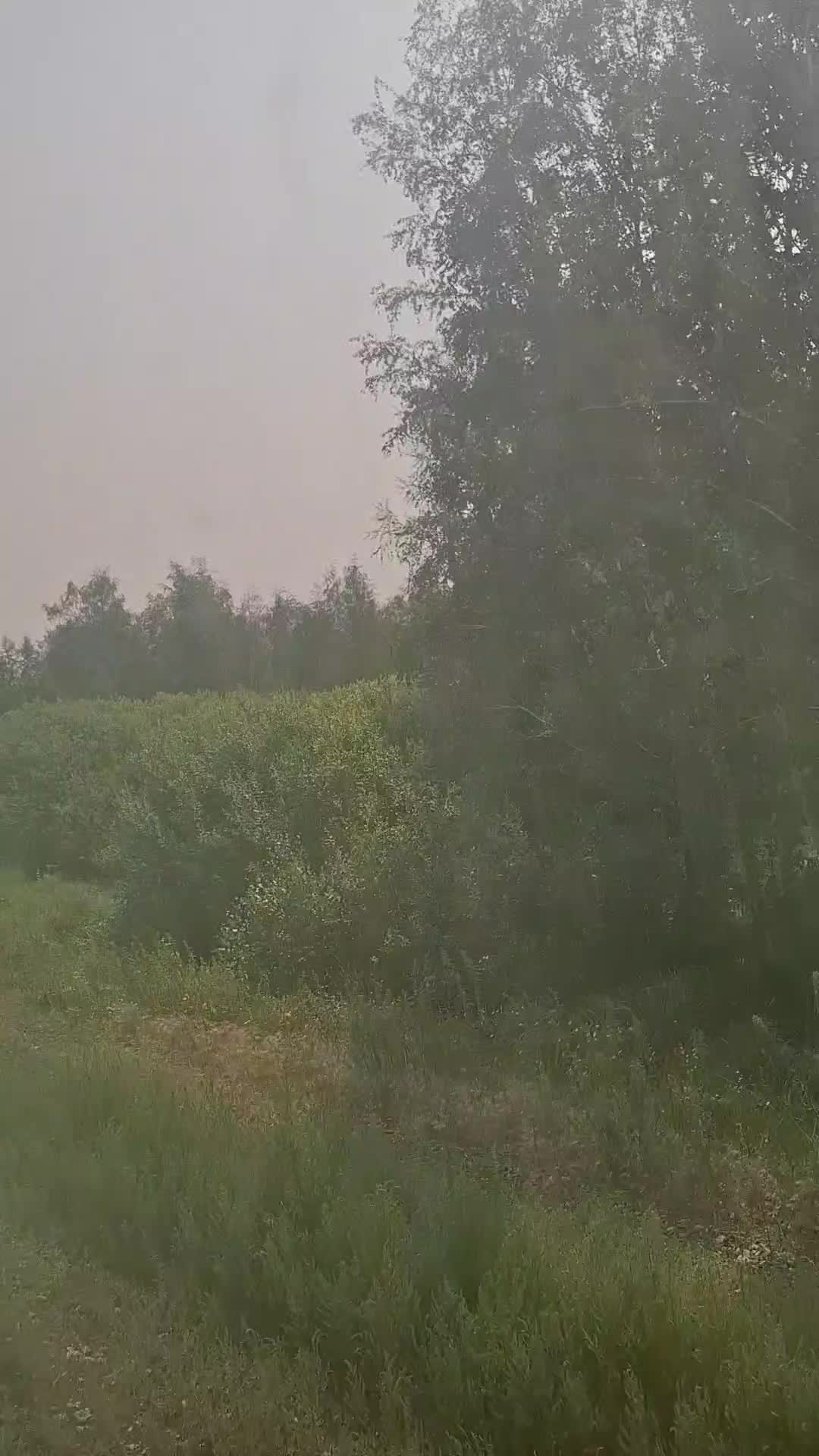 @Анастасия Корчагина