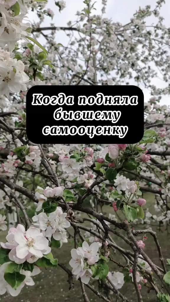 @Светлячок