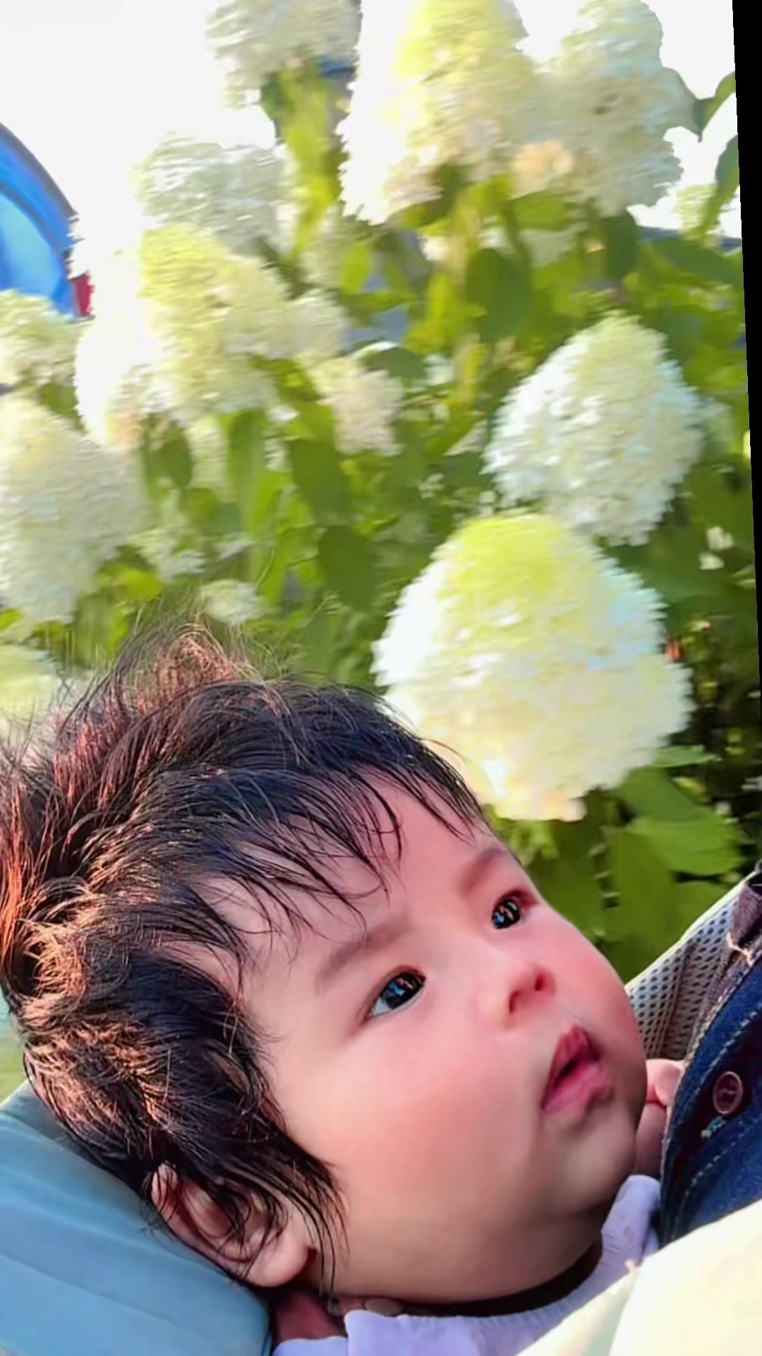 @D🇰🇷Šmall🧿Family🇳🇵M