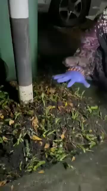 @عالم ميستري