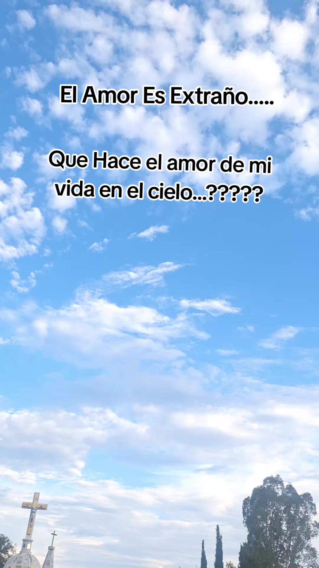 @Alejandra Flowers
