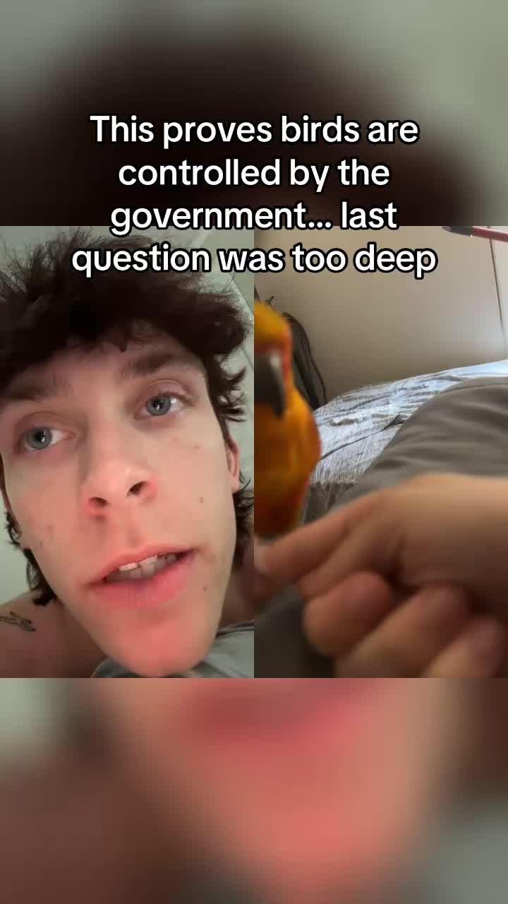 @Whiteboiwspraycheese