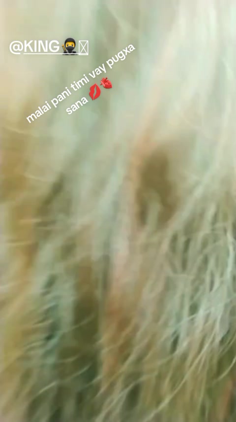 @Aashu__🌈