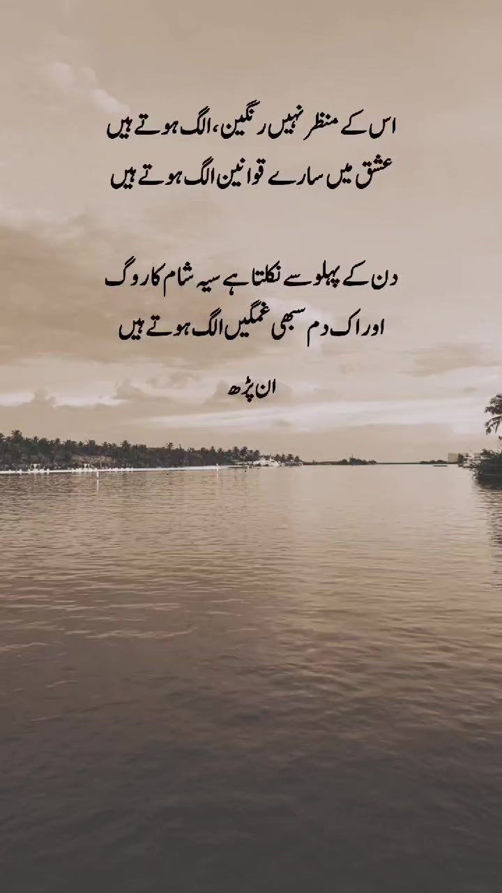 @ان پڑھ 🍁
