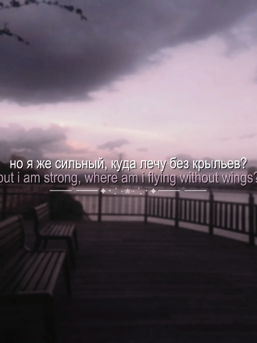 @'.𝙚́𝙪𝙥𝙝𝙤𝙧𝙞𝙖`🪷 ˎˊ˗