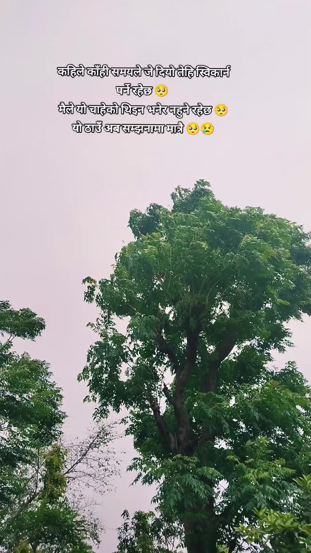 @NATIJA ❤️🕉️🔱🙏🏻