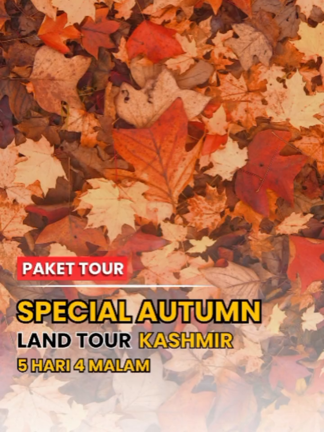 @TRAVEL TRIP KASHMIR INDIA