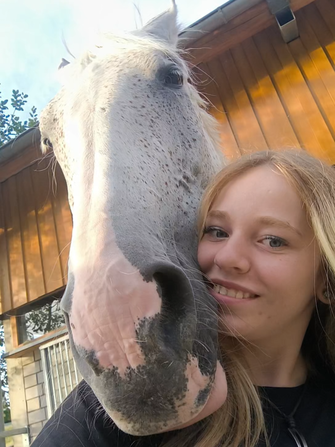 @Spring"Pony"Casha