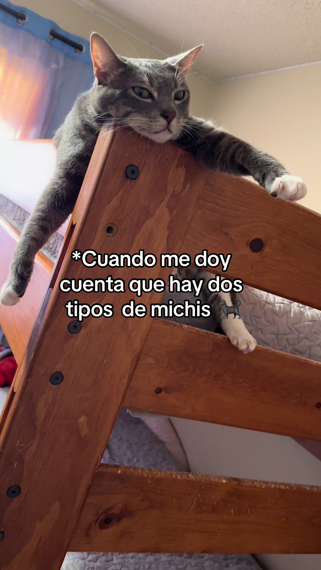 @Liz Vall.