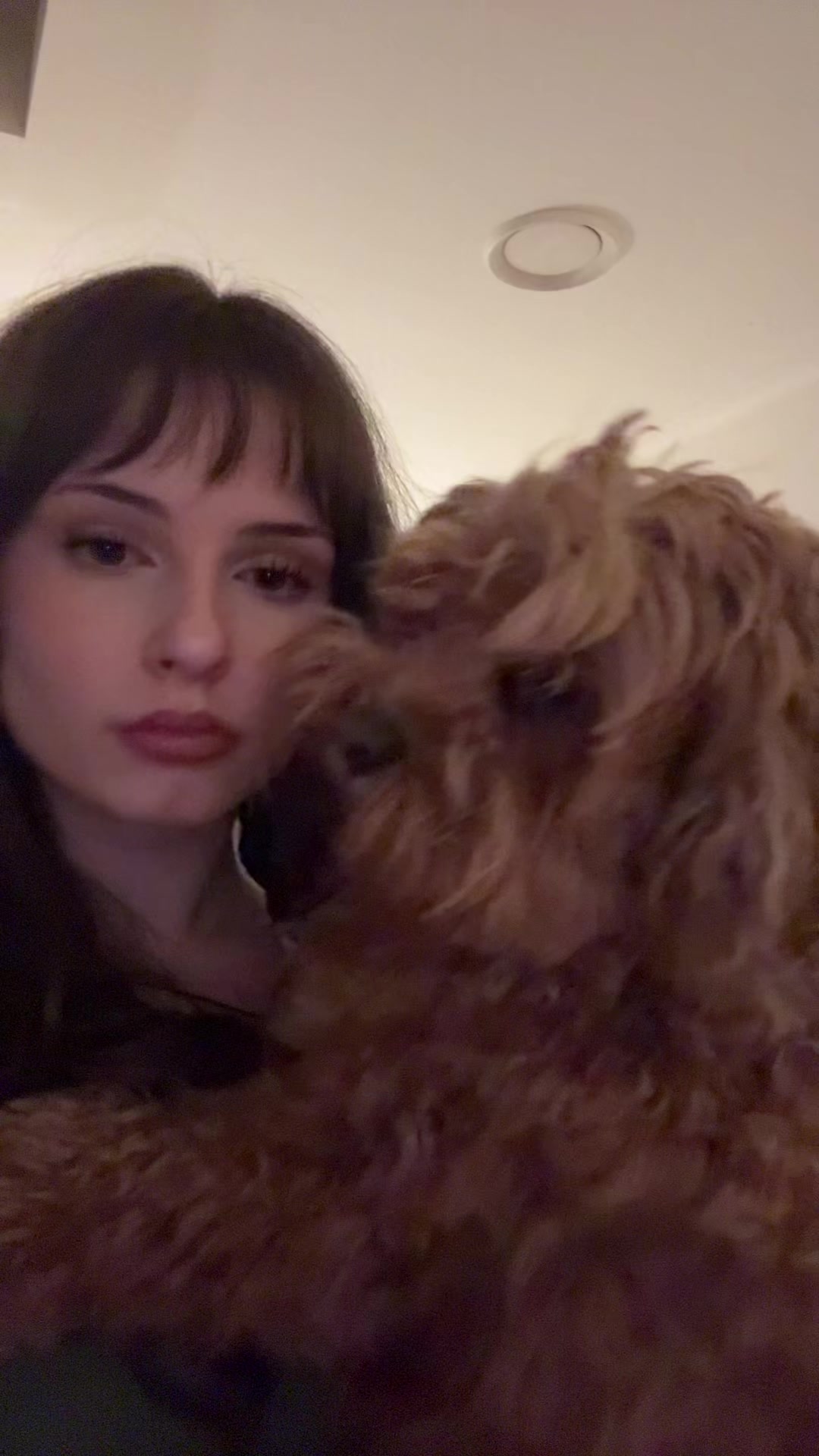 @bella❦