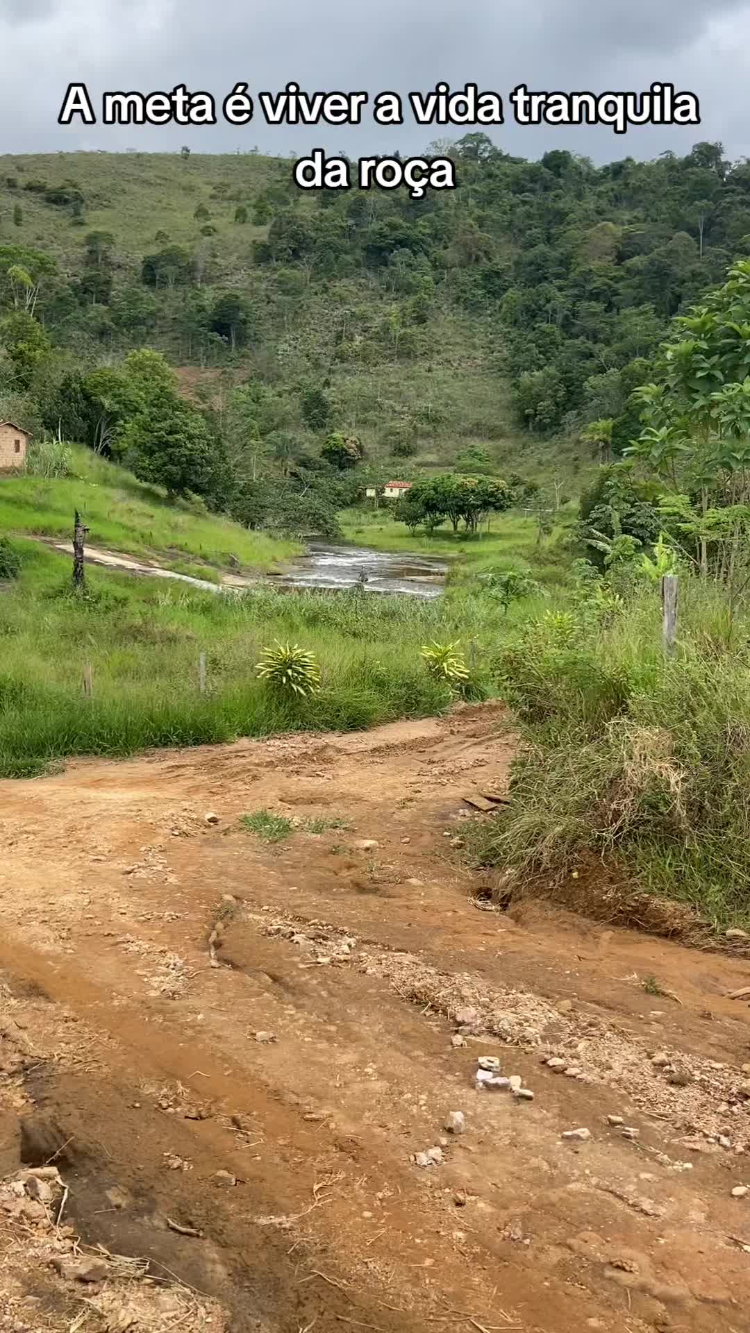 @Ro&ccedil;a 🤠🌱