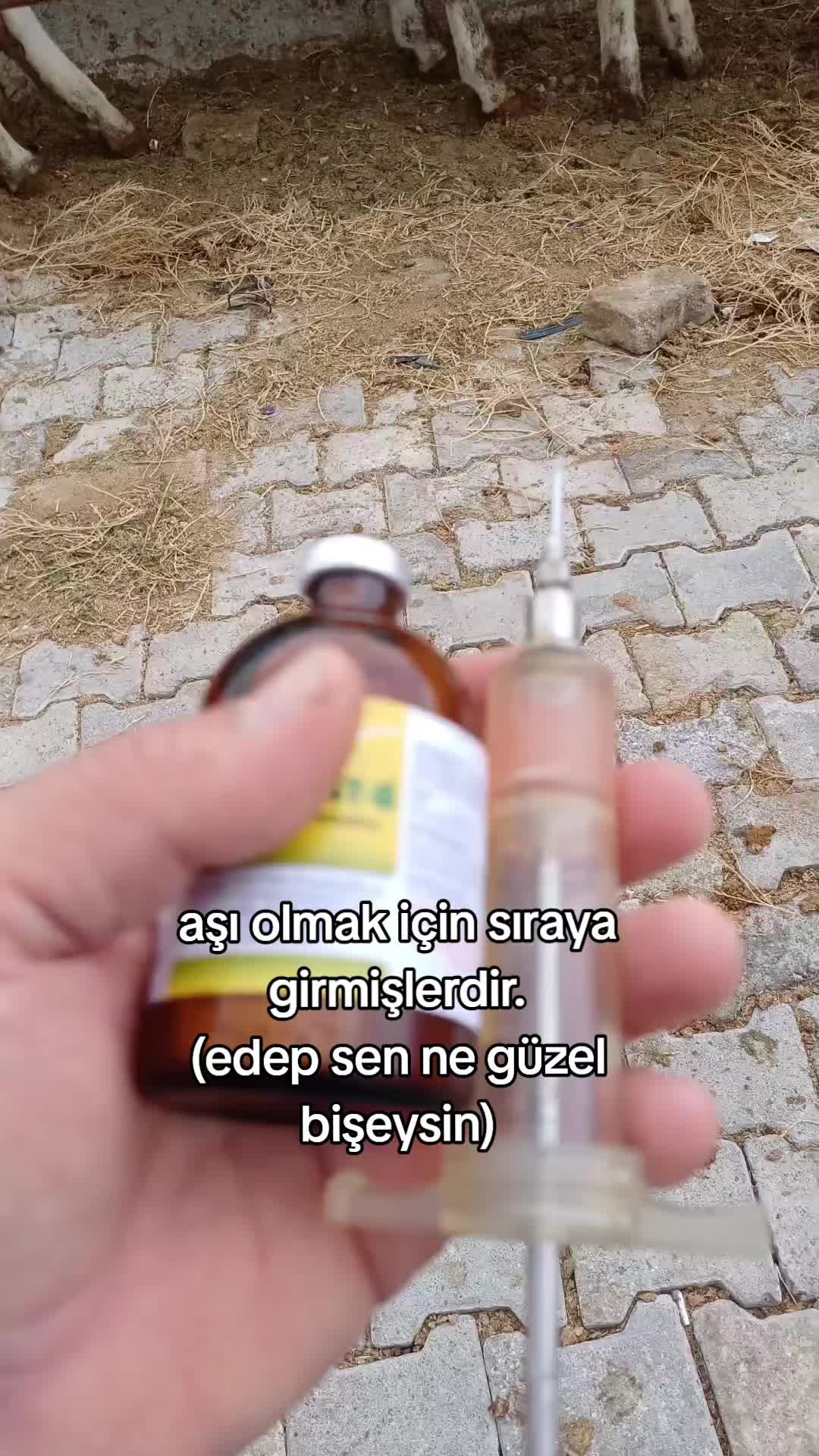 @Vet. Hek. Mehmet bozan SAMAK