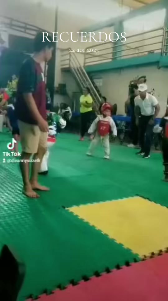 @taekwondolionsteam