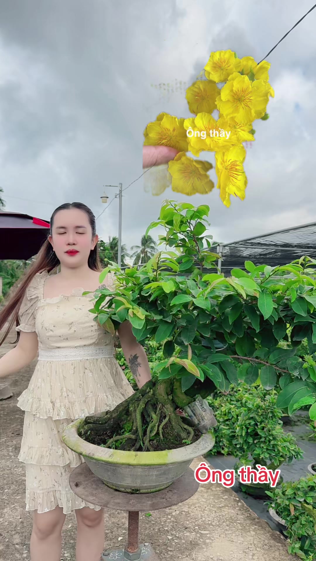 @Chichchoebong79