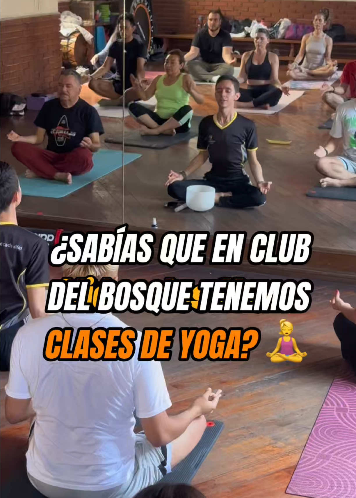 @club del bosque gym