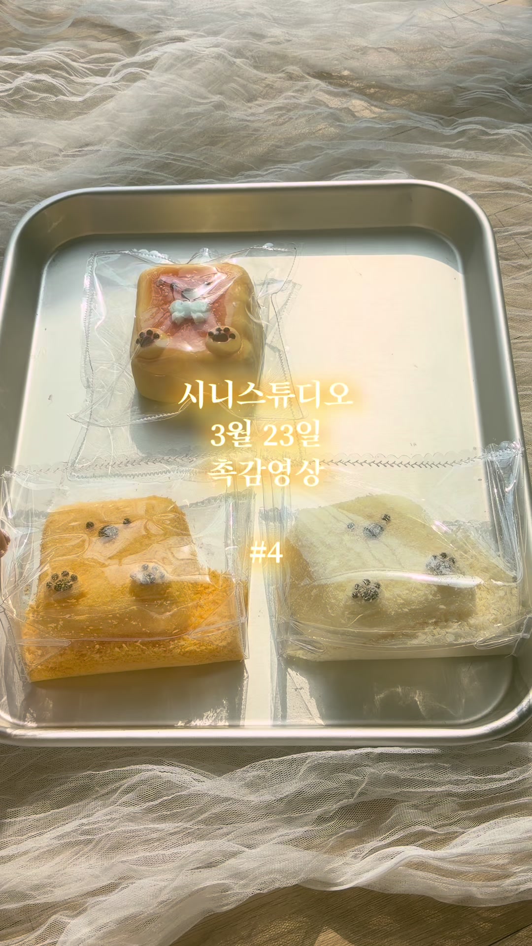 @시니