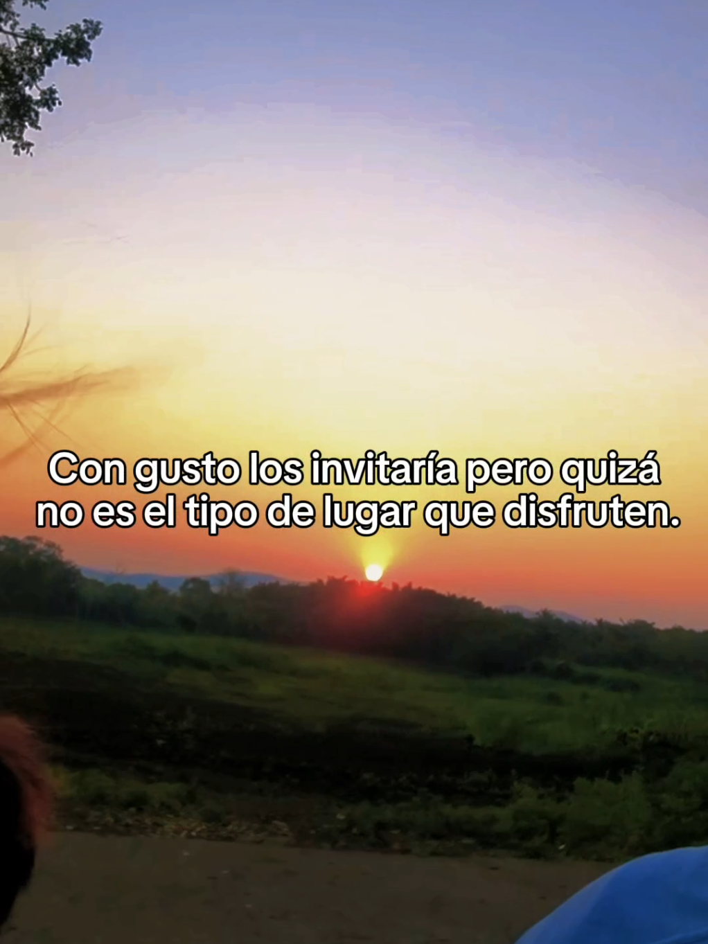 @PanzoncitoCrew
