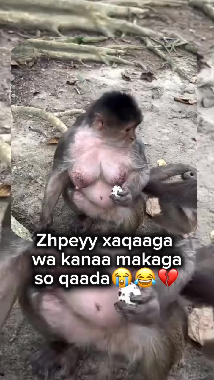 @BuTaCeYyyyYYyYšš§āļøš¤