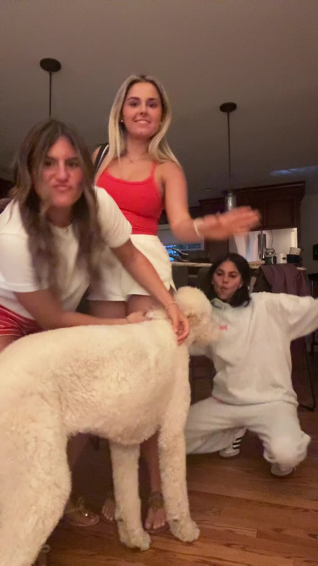 @🧸