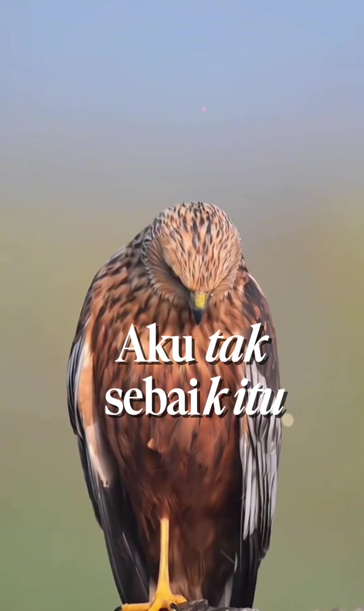 @Analia Kim