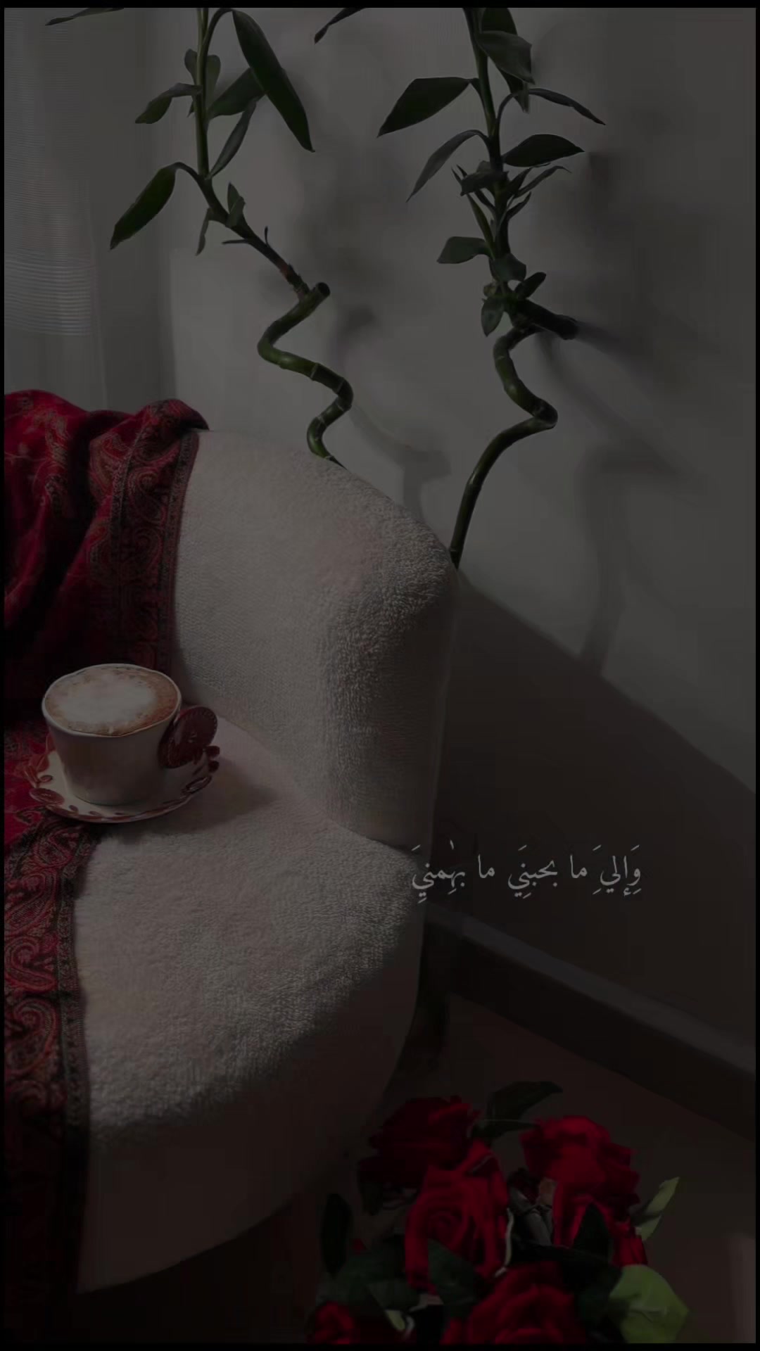@لين الشريف❤