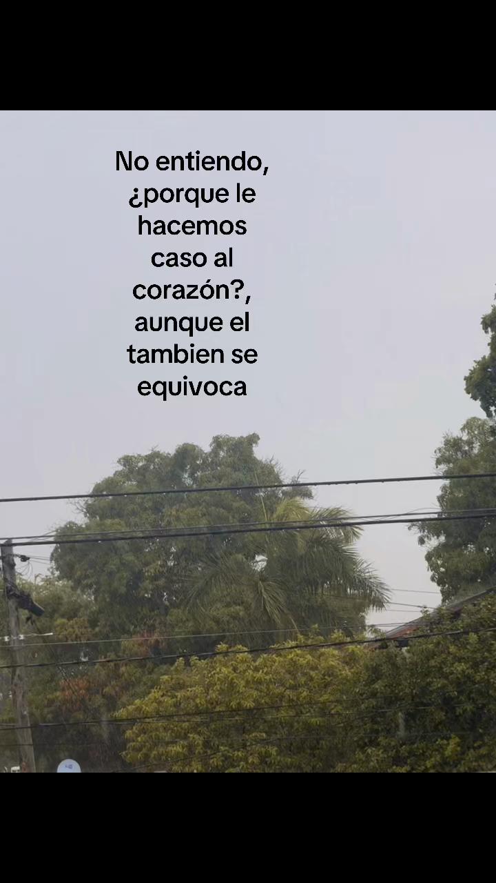 @(Elia&rsquo;s versi&oacute;n) 💐🌷😍