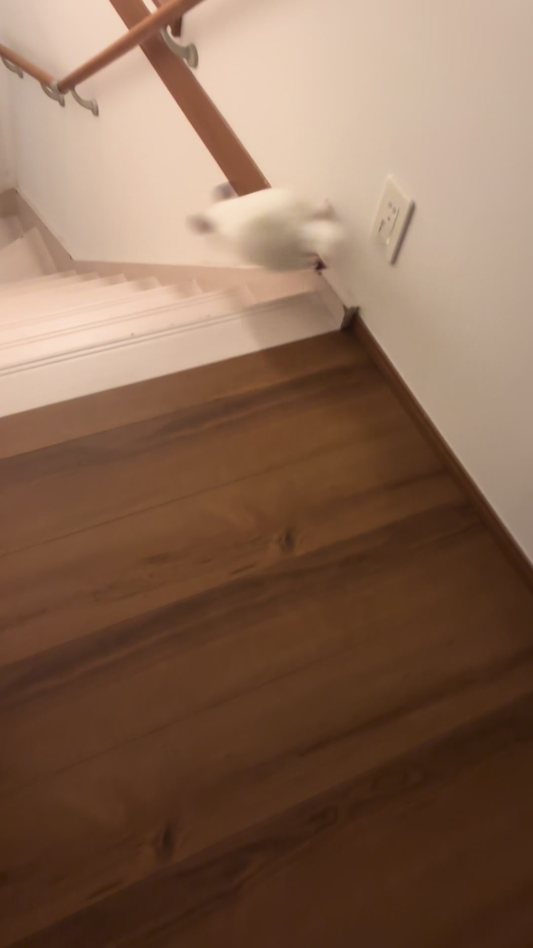 @おはぎとパパ