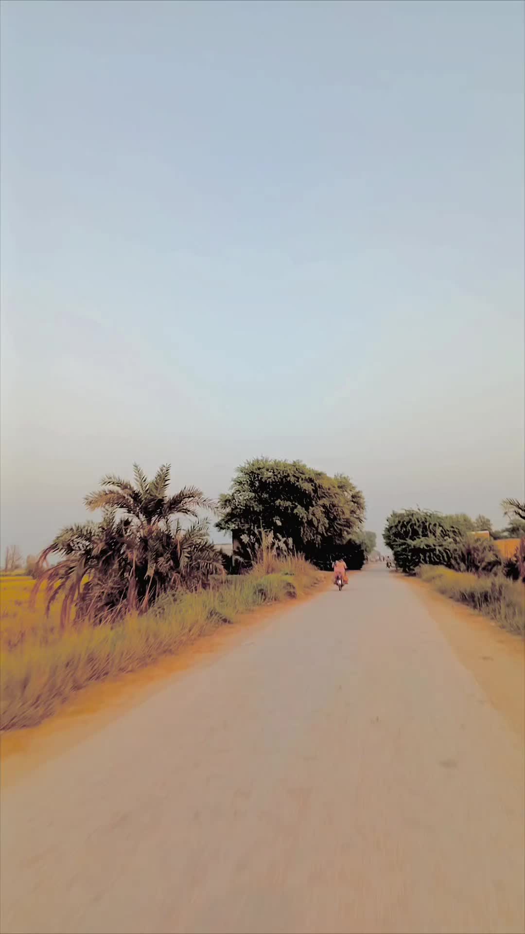 @Nawab Zadi🥰