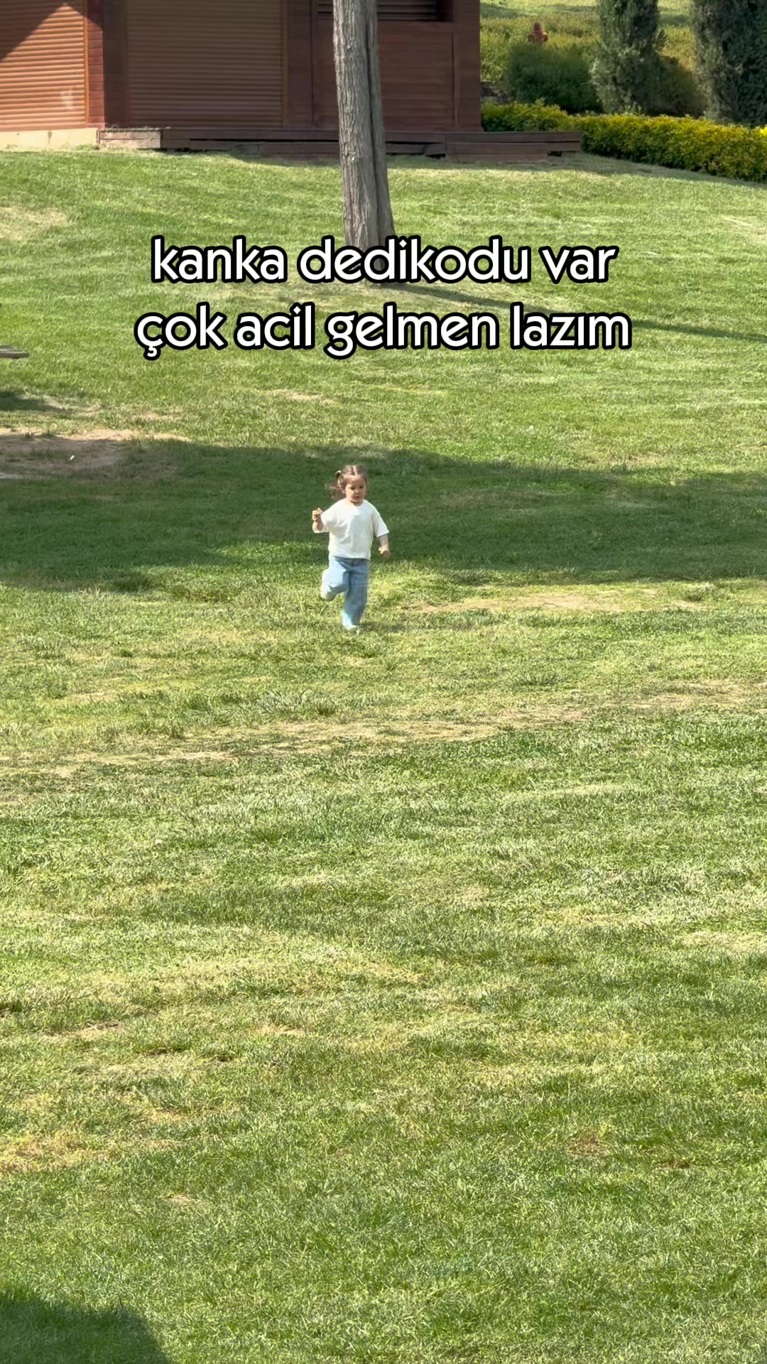@d.demetaslan