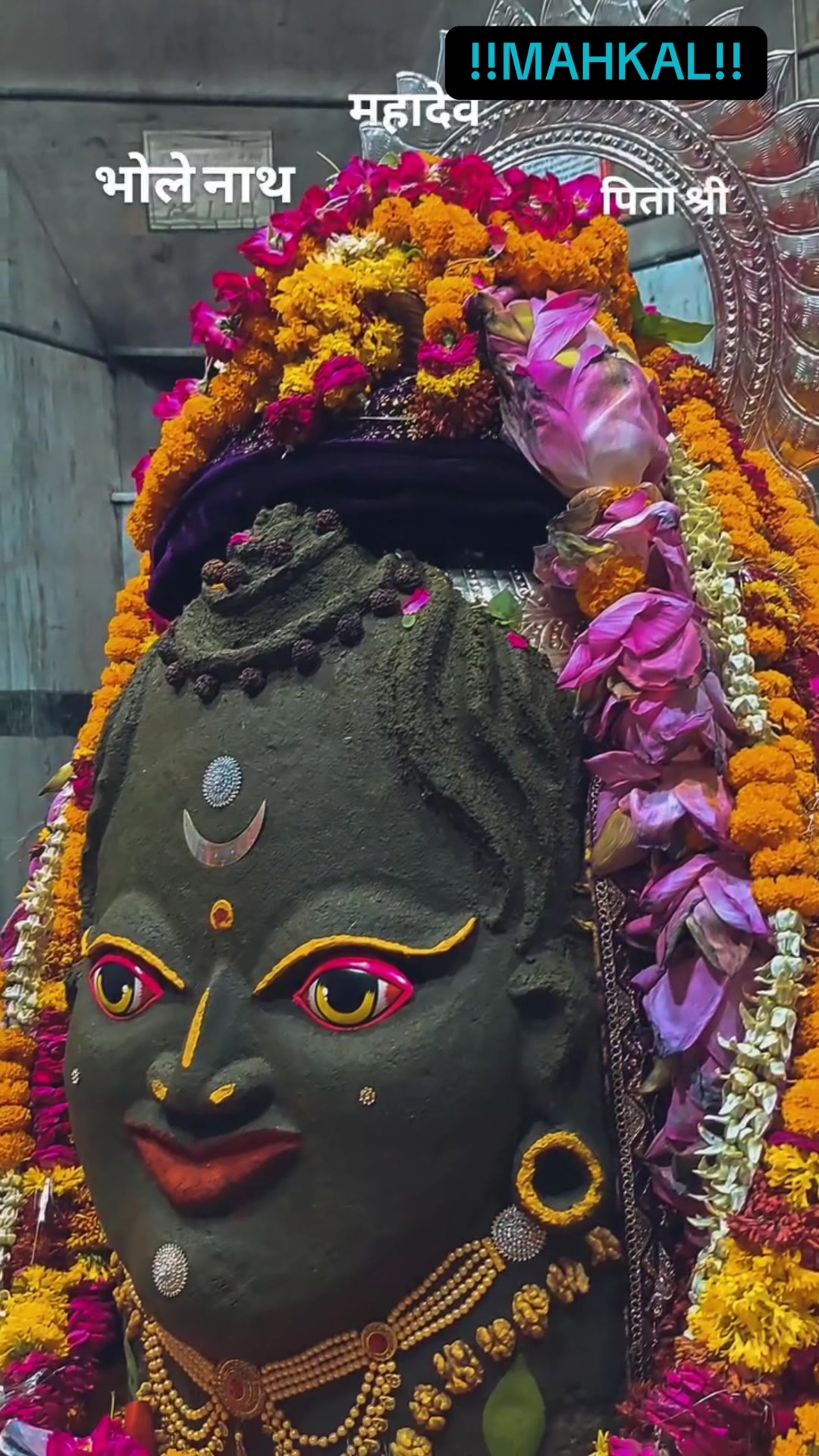 @🔱Mahadev Bhakt🔱