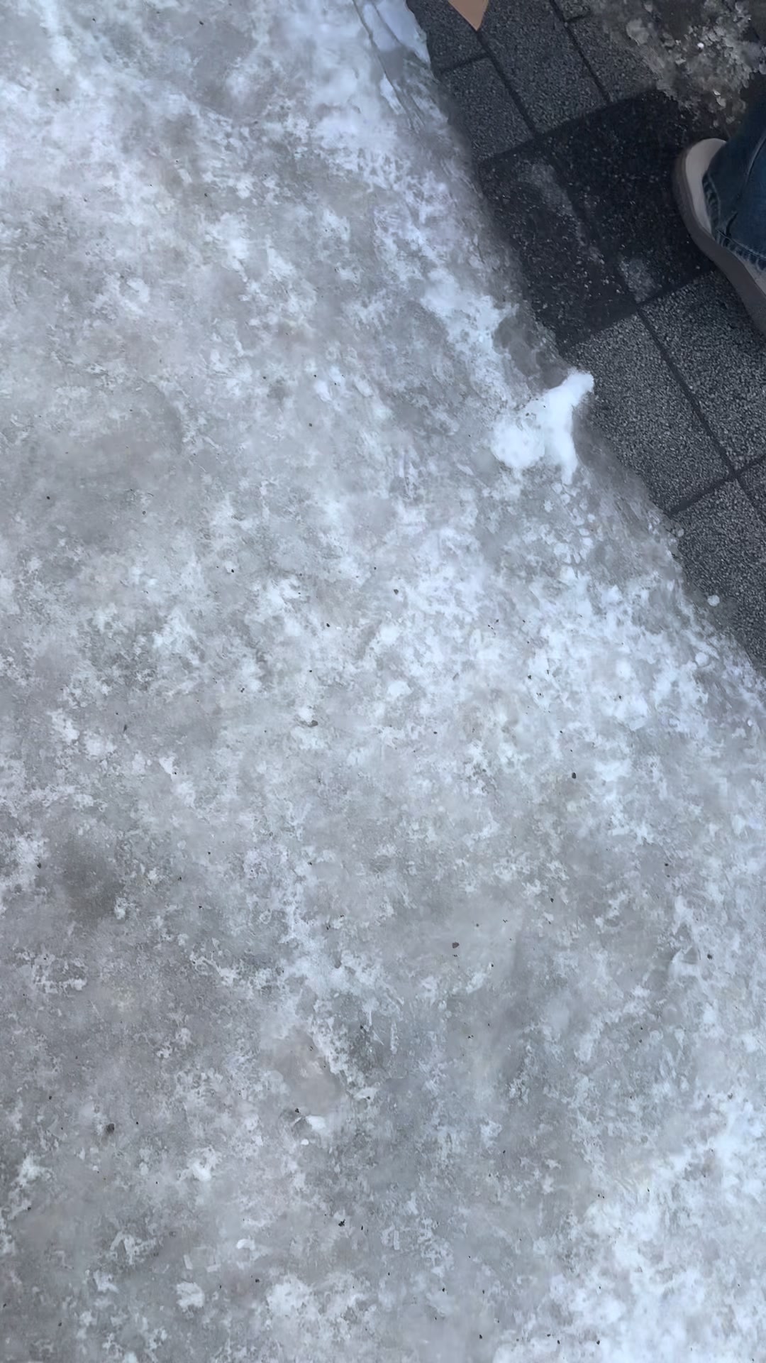 @LBWKnot社員🍁⛩