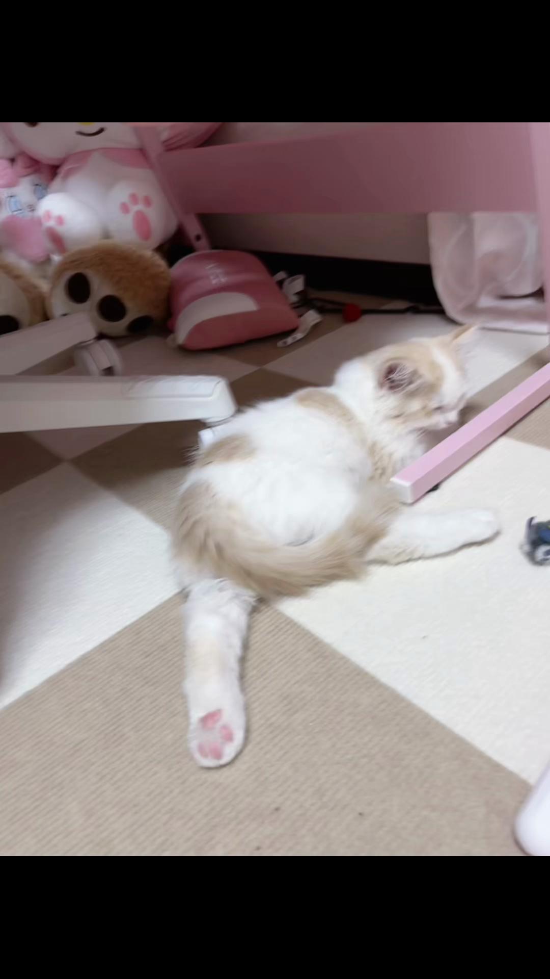 @Kiki