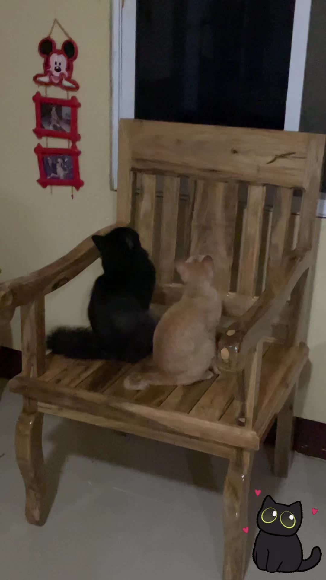 @Spynxcat