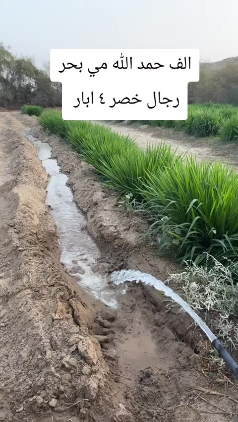 @كشف مياه ابار💧🇸🇦0537690484