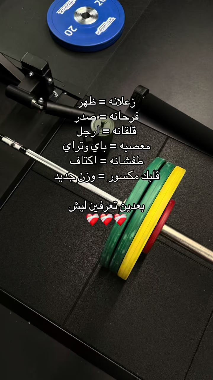 @Belle 🇸🇦
