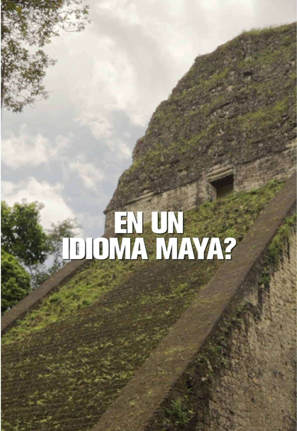 @Nueva Narrativa Guate